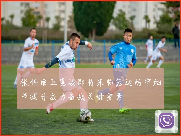 张伟丽卫冕战即将来临笼边防守细节提升成为备战关键要素