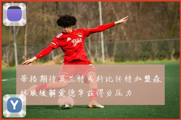 蒂格期待莫兰特或科比怀特加盟森林狼缓解爱德华兹得分压力